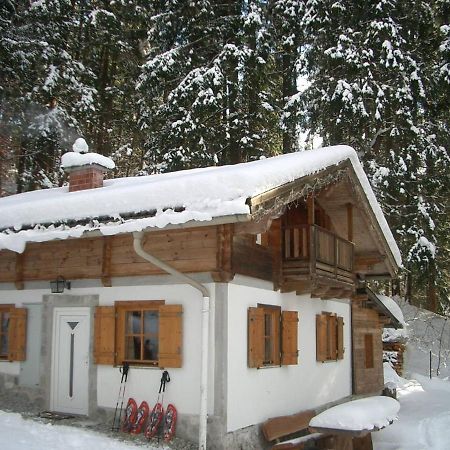 Pointhaeusl Villa Pfarrwerfen Exteriör bild