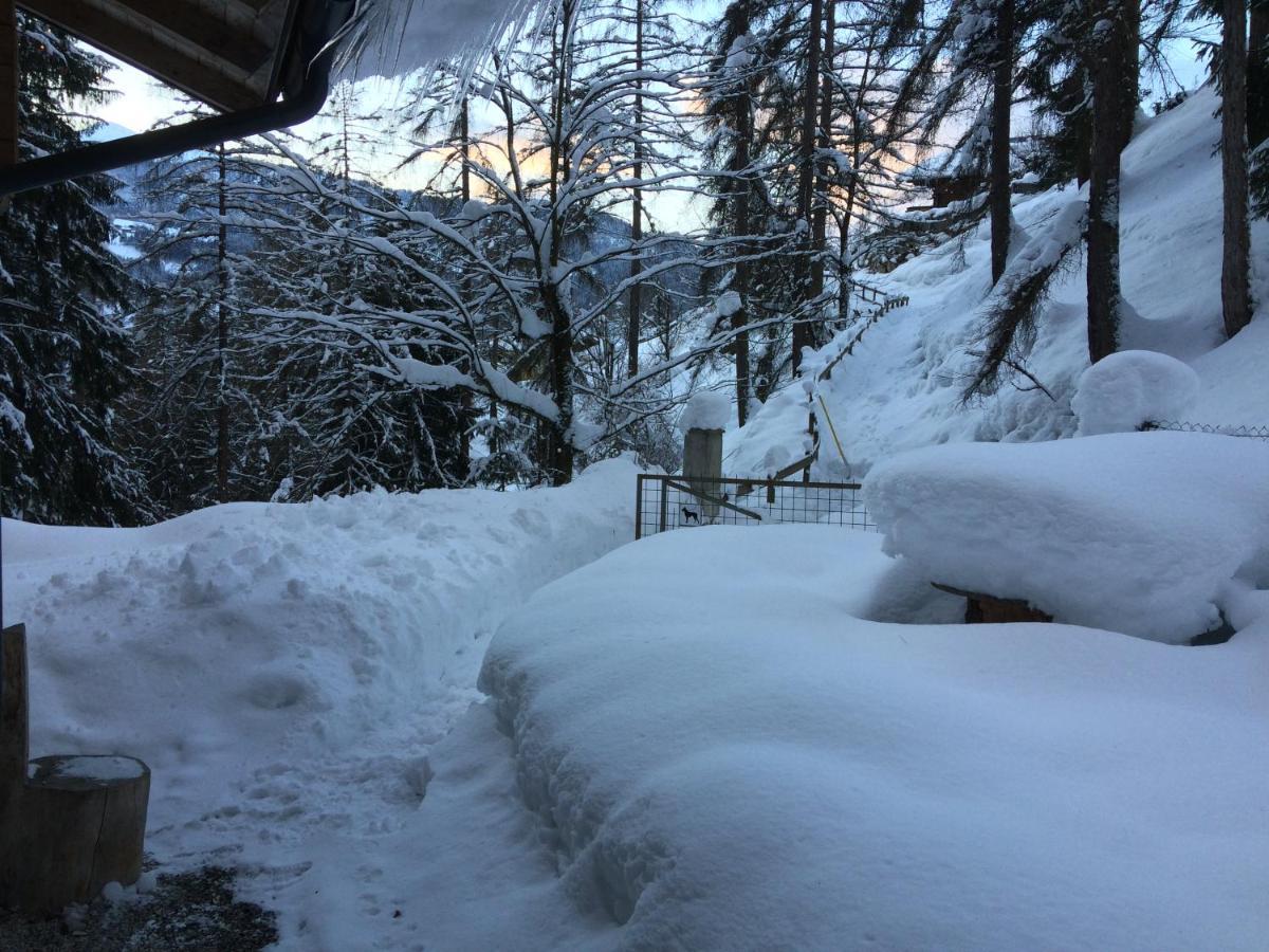 Pointhaeusl Villa Pfarrwerfen Exteriör bild